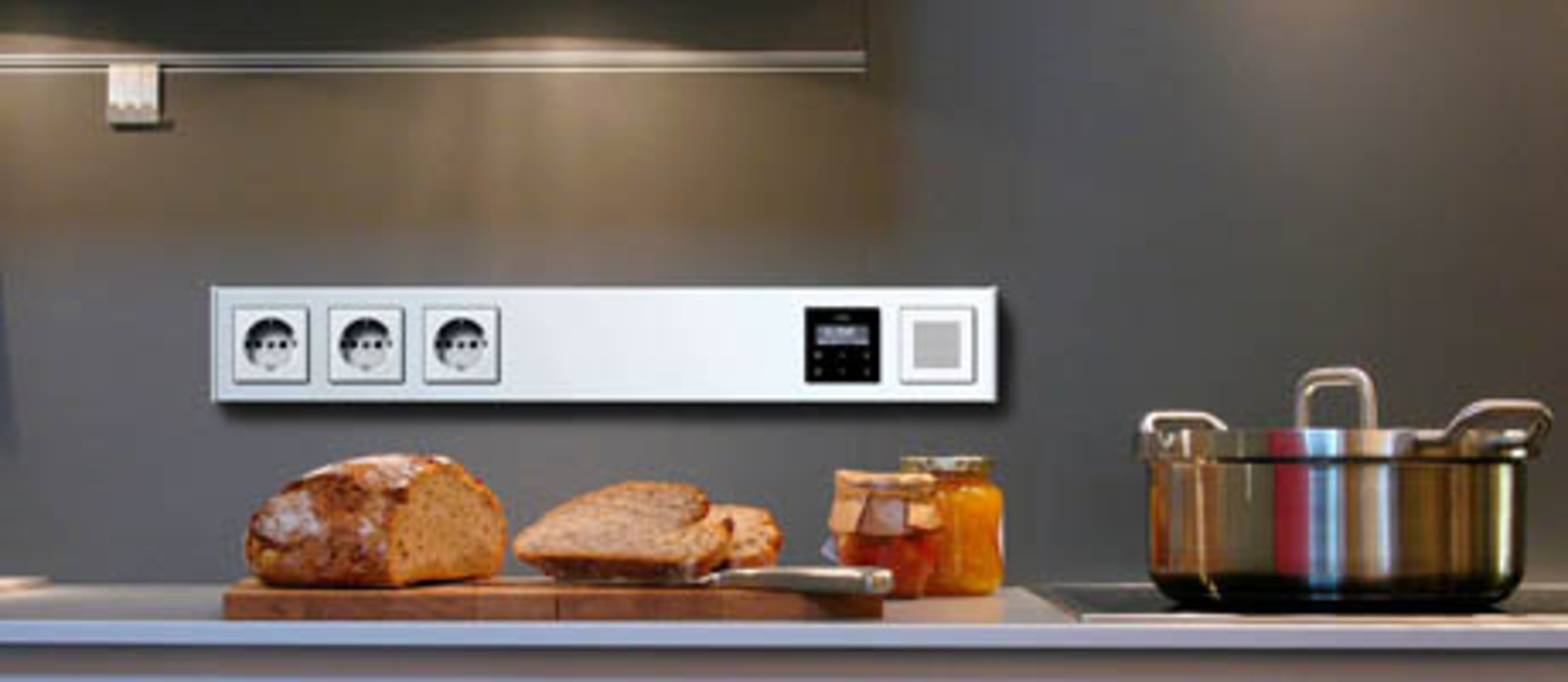 Gira Profil 55 bei Zenrise GmbH in Pfungstadt